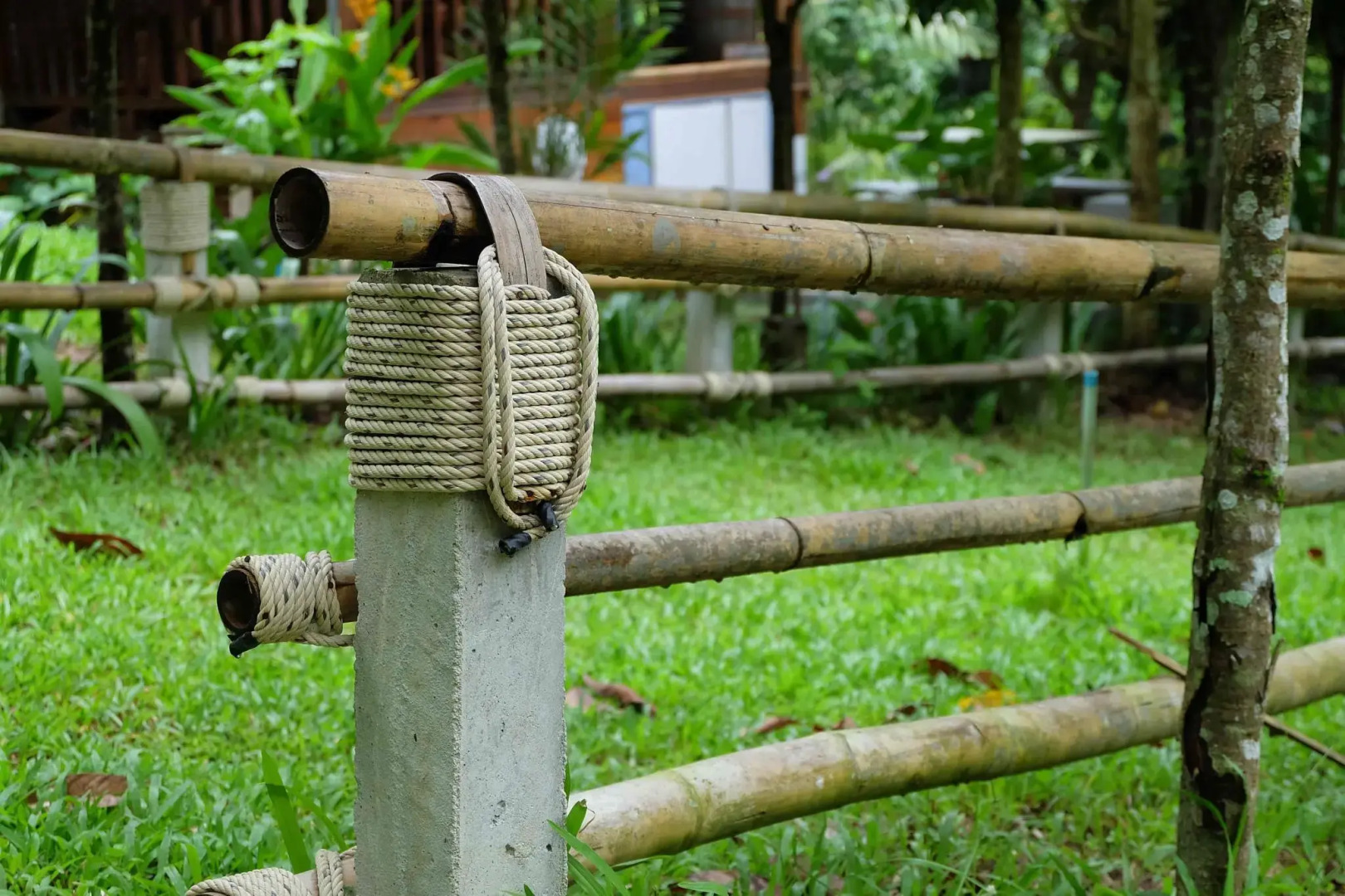 Pi Creek Hideaway Resort