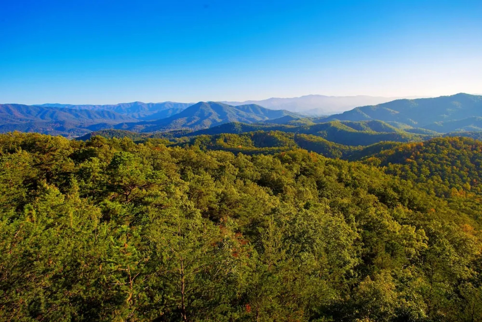 Where Eagles Fly - 4 Br Cabin