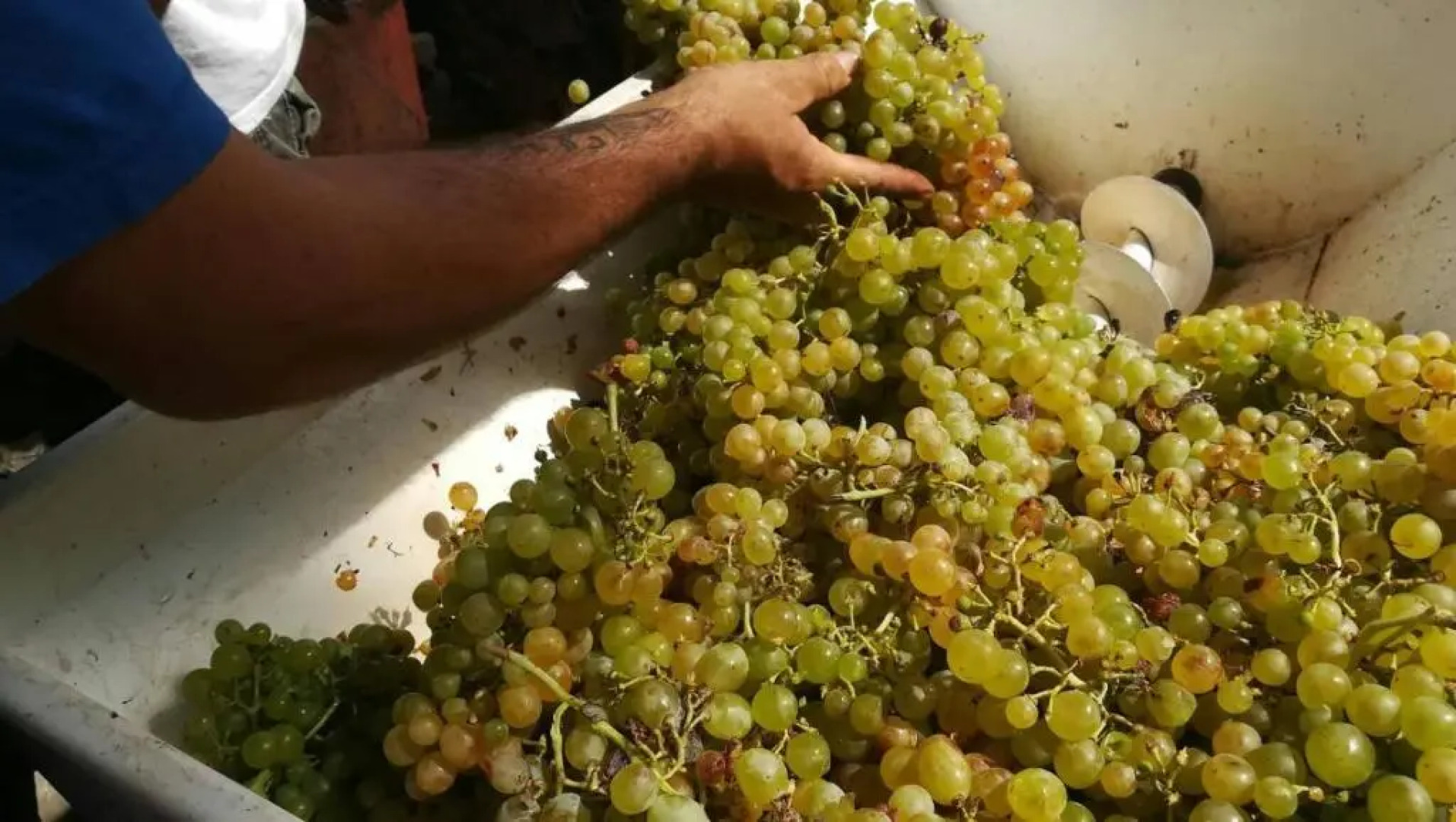 Agriturismo del Monte