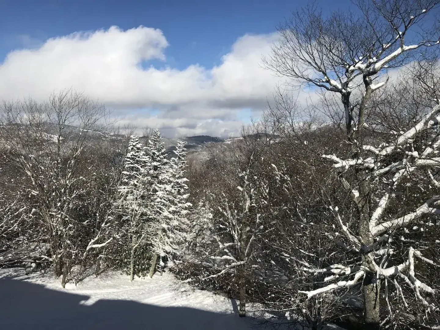 Skyleaf E_17 2 Bedroom Condo by RedAwning