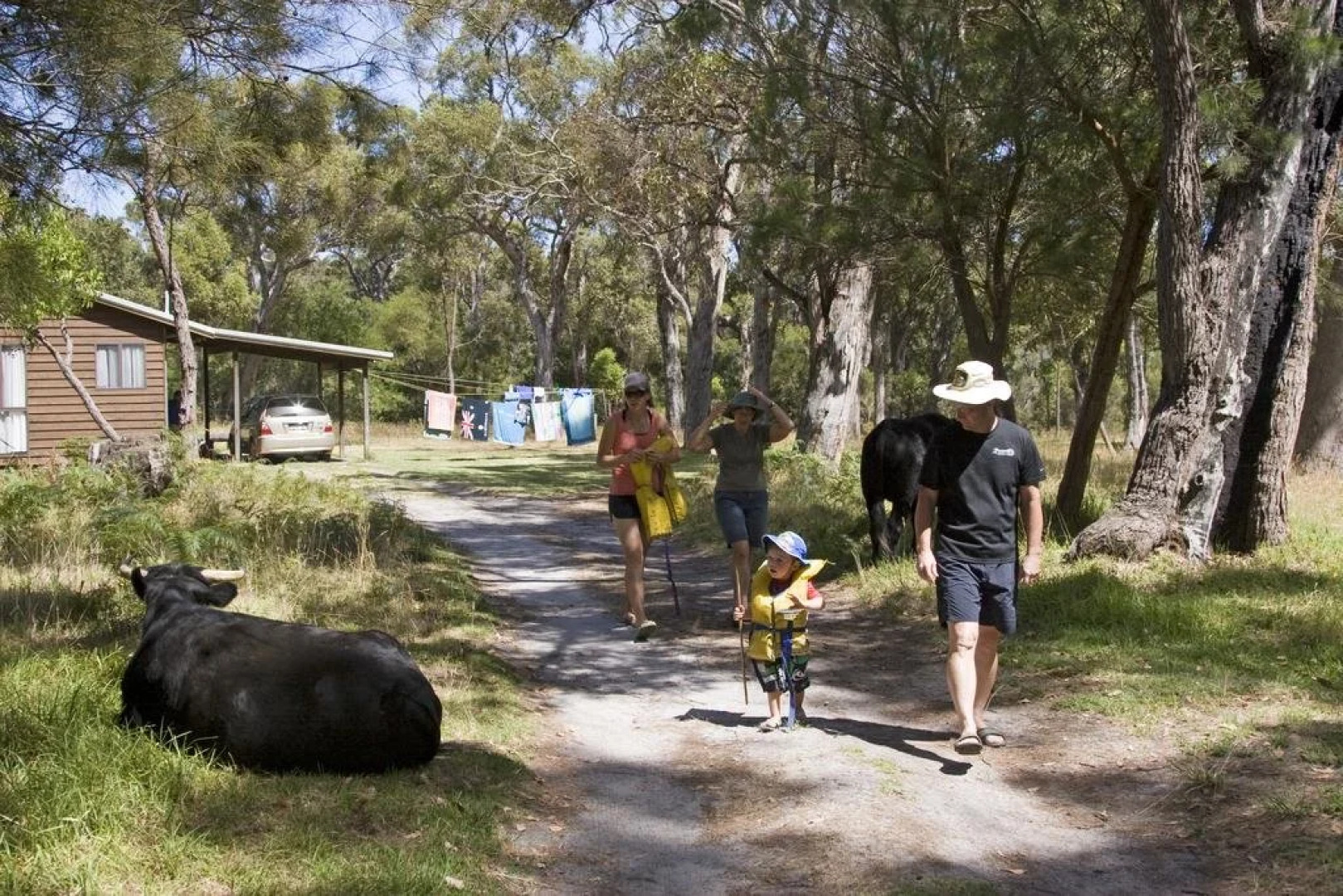 Che Sara Sara Chalets