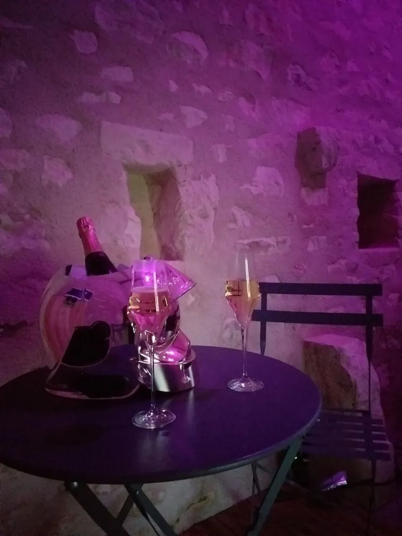 La Berrycurienne Proche du zoo de Beauval Saint-aignan