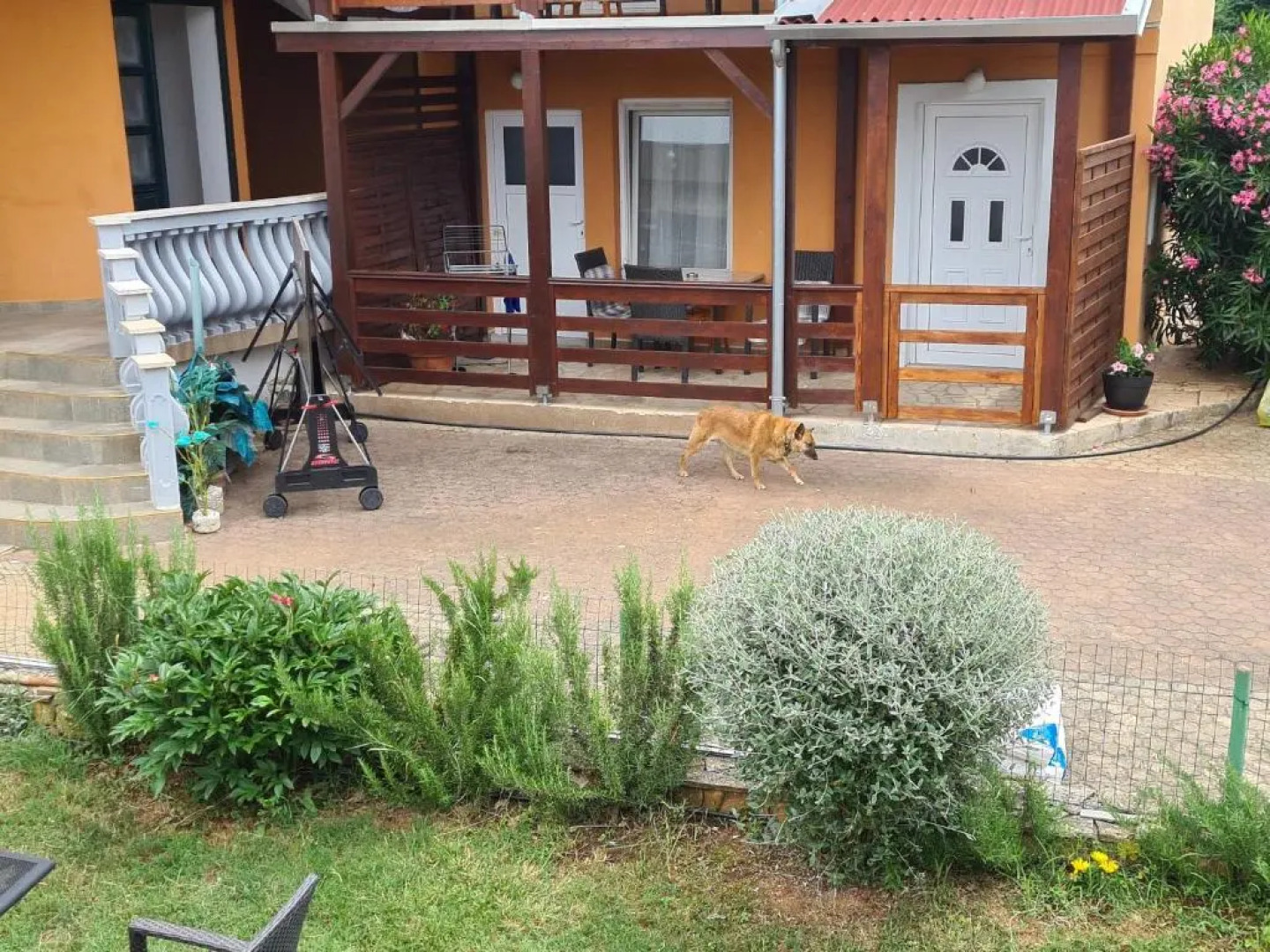 Apartments Šeherzada