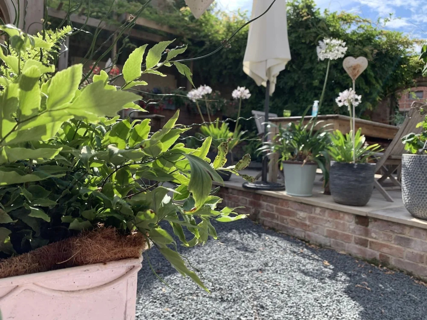 Rooms at no Three, Chameleon House