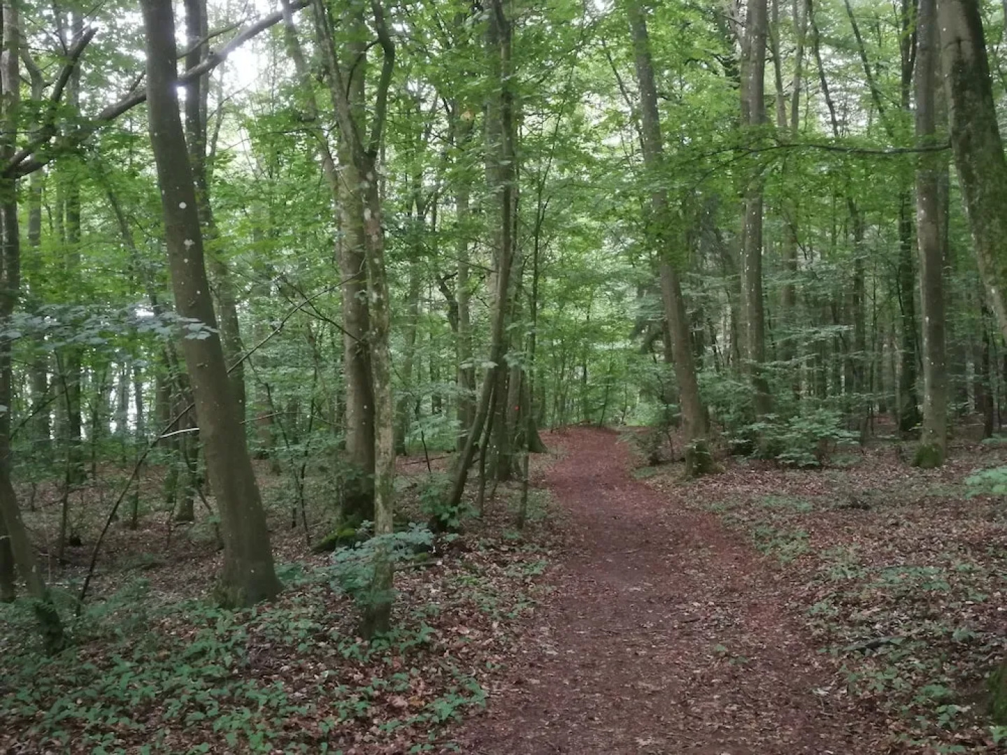 Leibers Galerie-Hotel