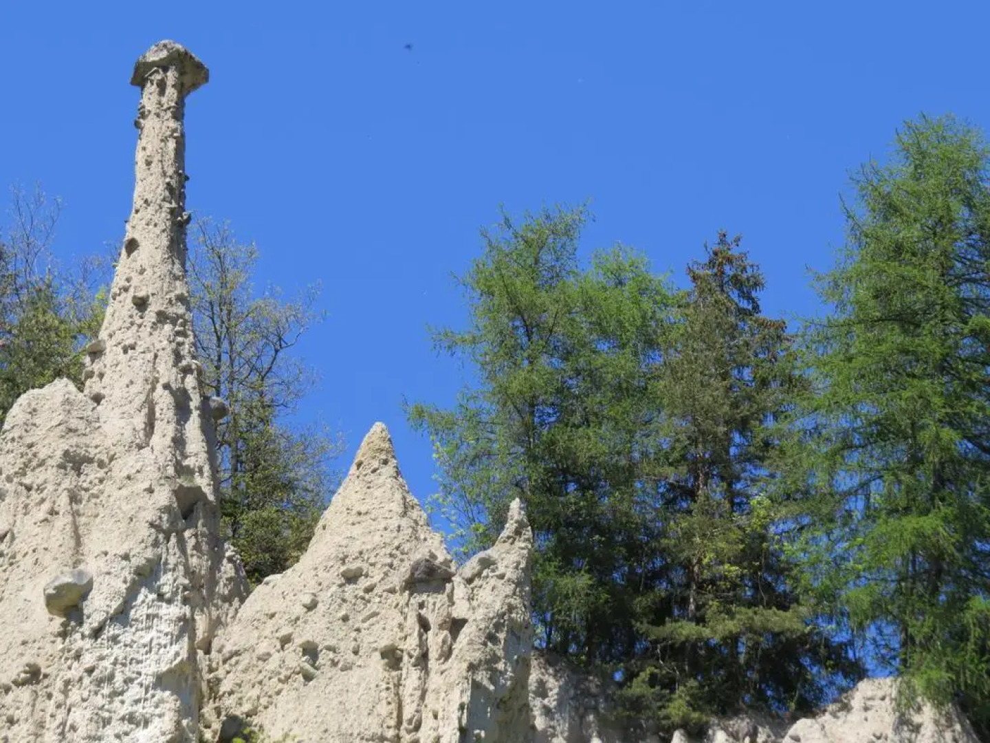 Hotel Am Wolfgrubenersee