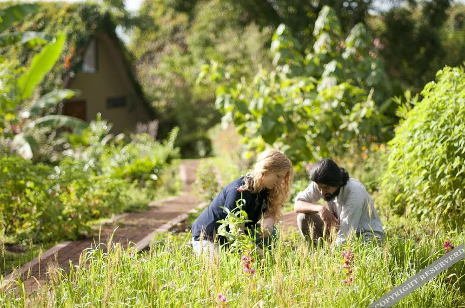 Pura Vida Retreat & Spa