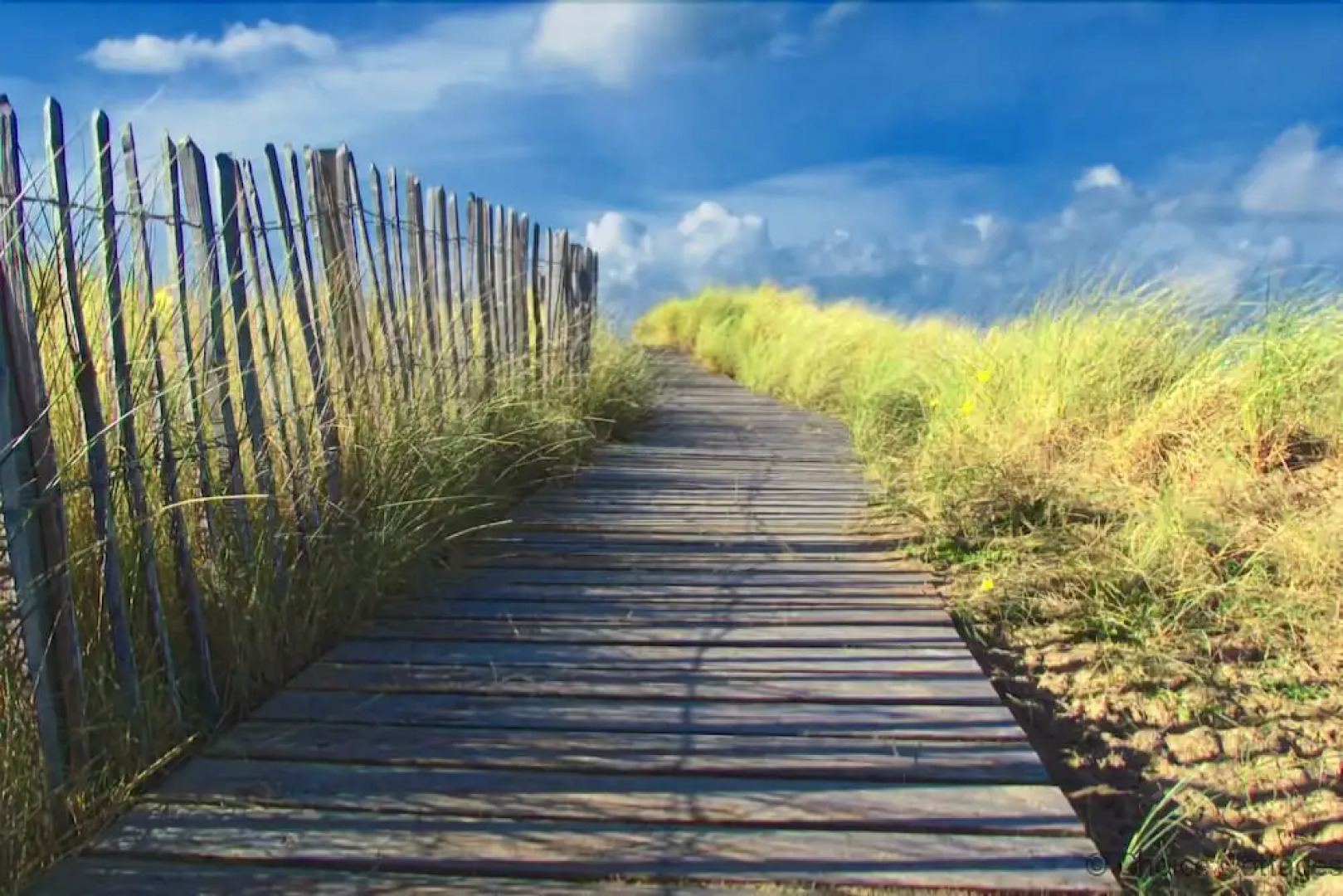 Croyde Iluka 3 Bedrooms