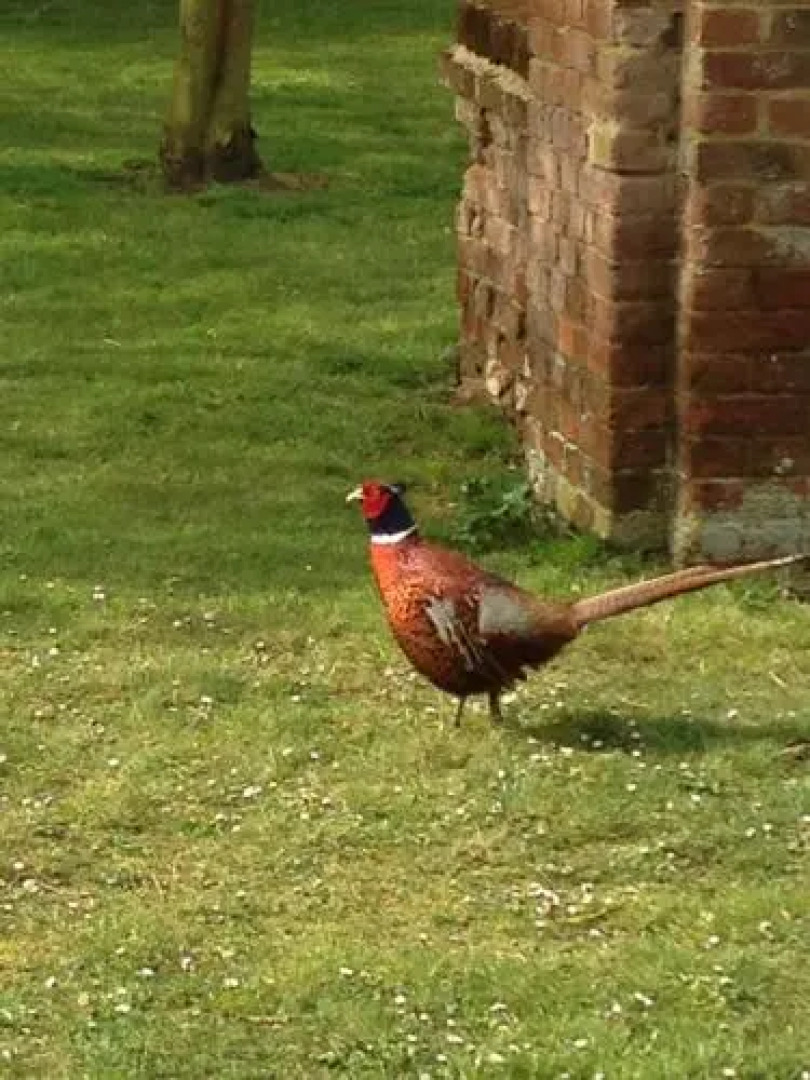 Zouch Farm Bed & Breakfast