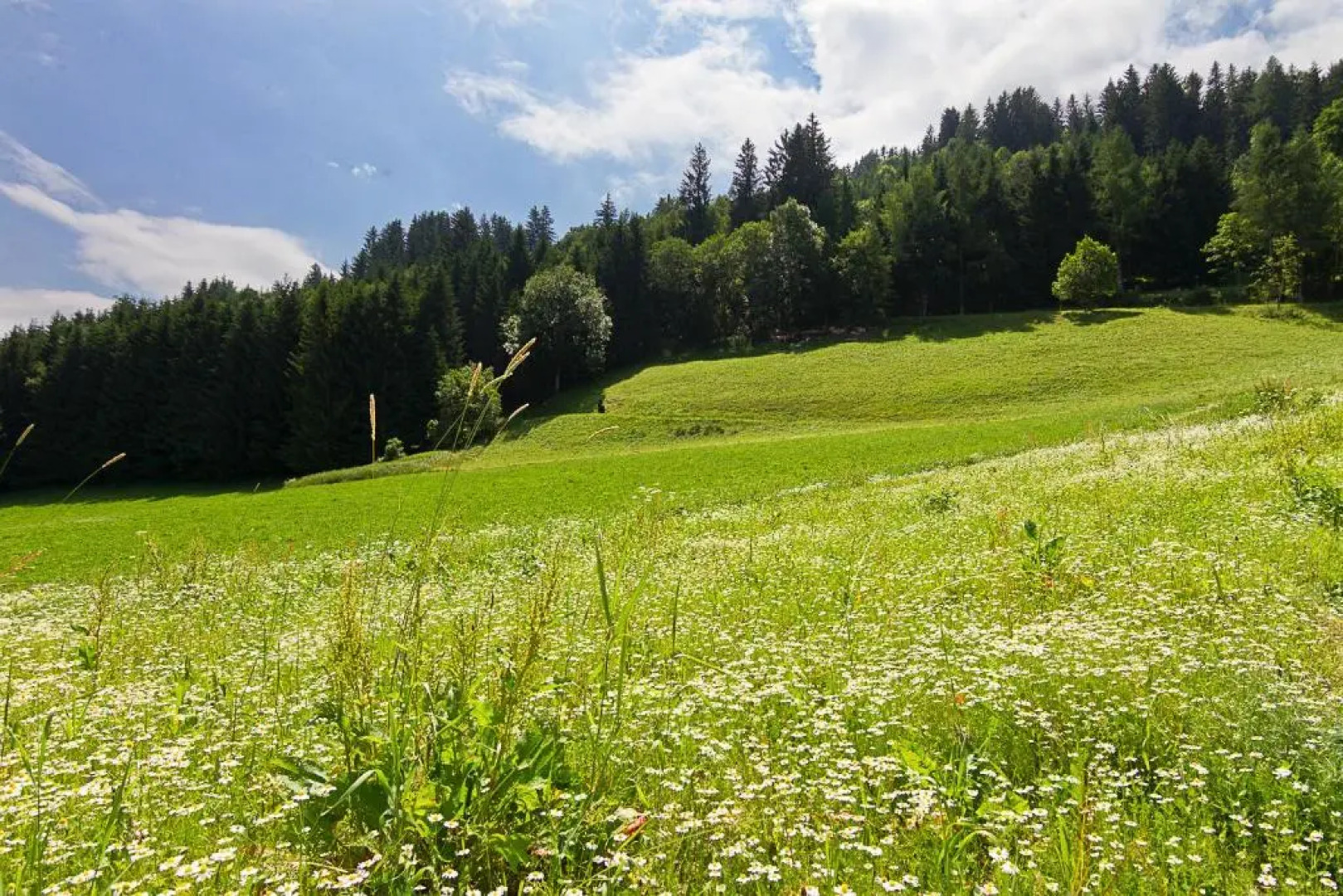 Appartement Klosterhügel