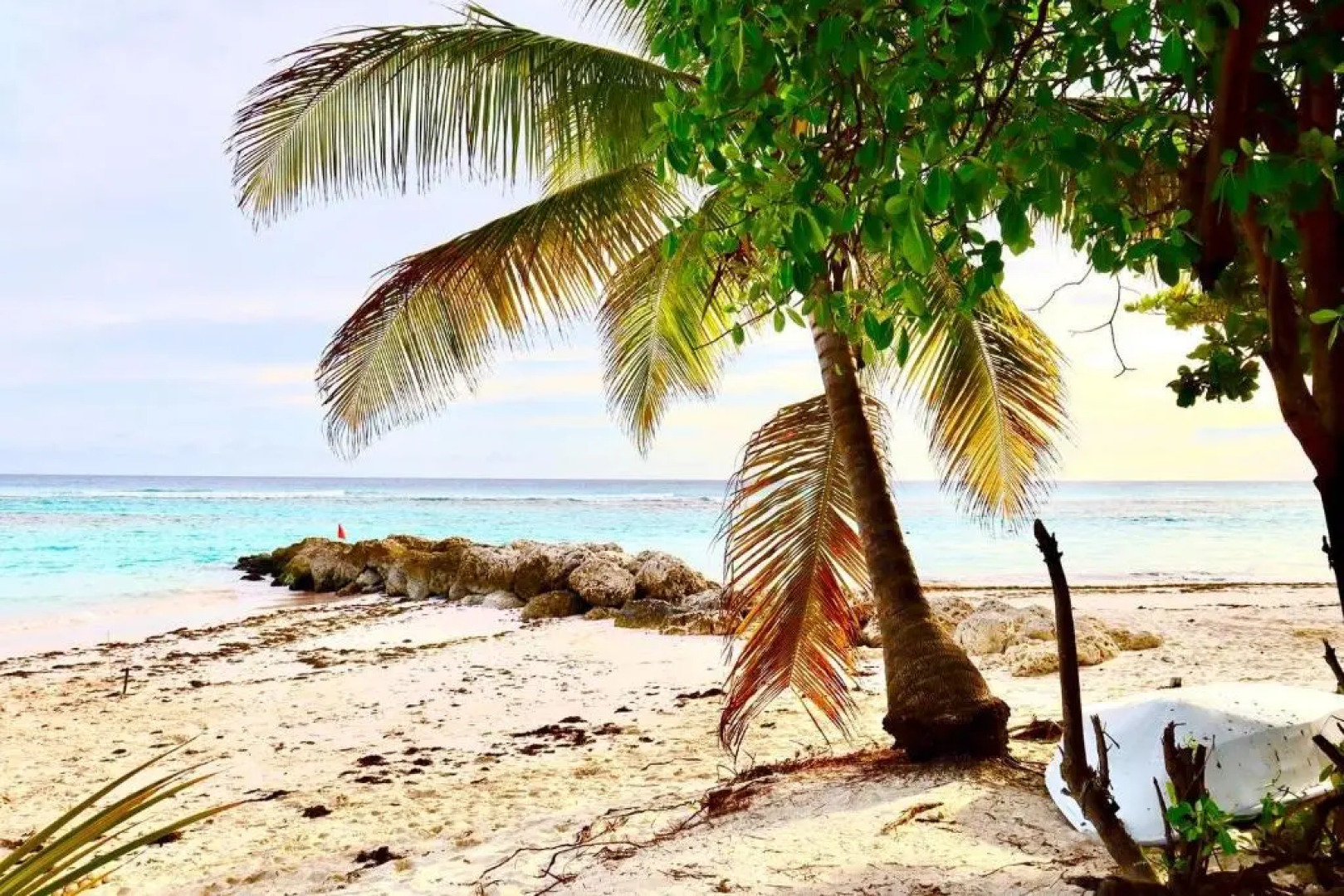 Melrose Beach Apartments