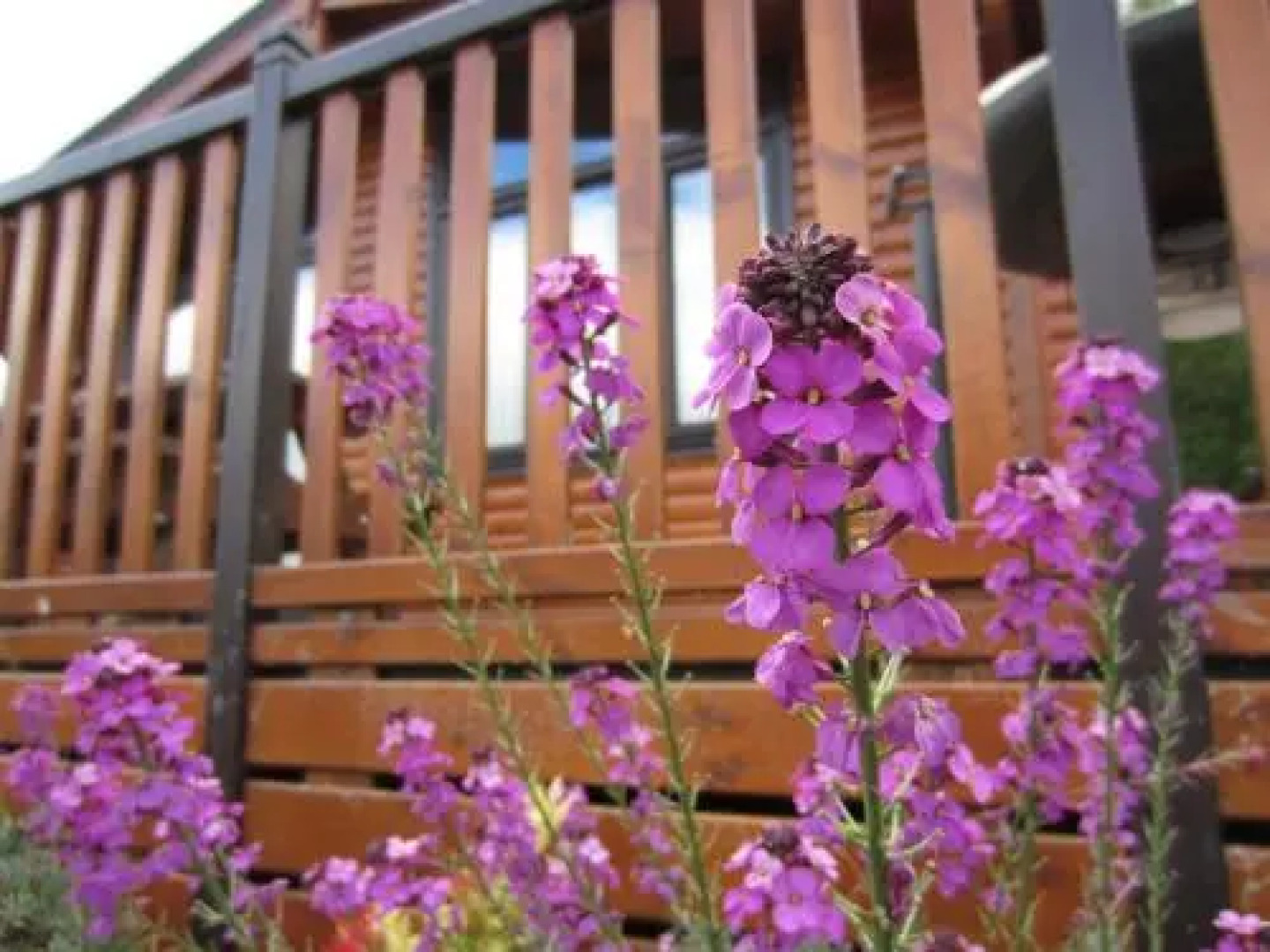 Inverbeg Holiday Park