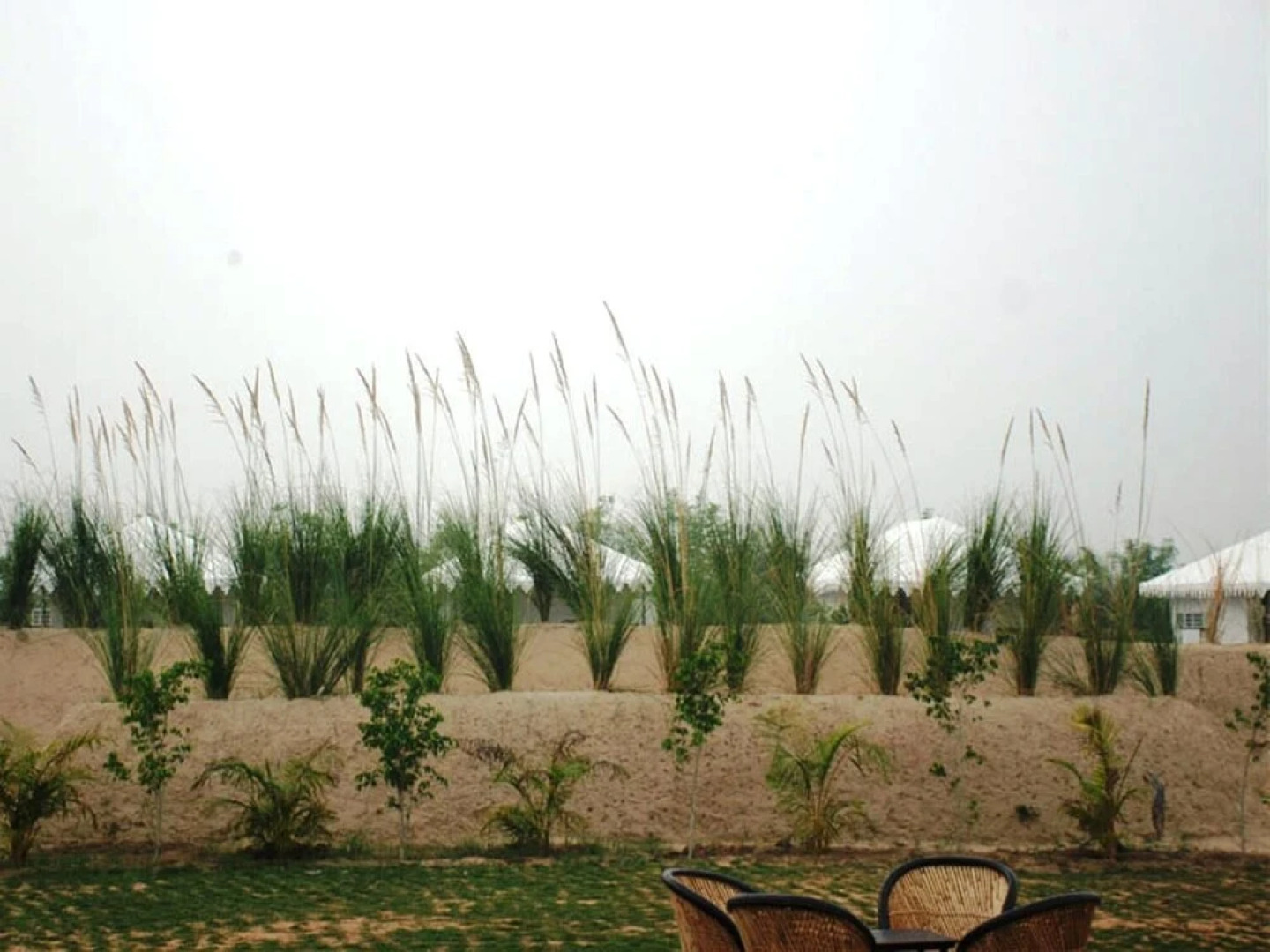 Ranthambore jungle cave