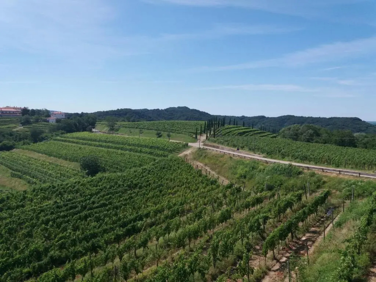 Agriturismo Casa delle Rose Winery