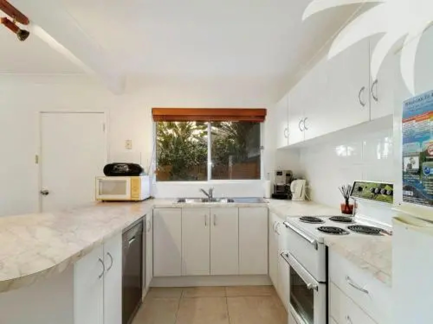 Picture perfect Lizzie Palms 2