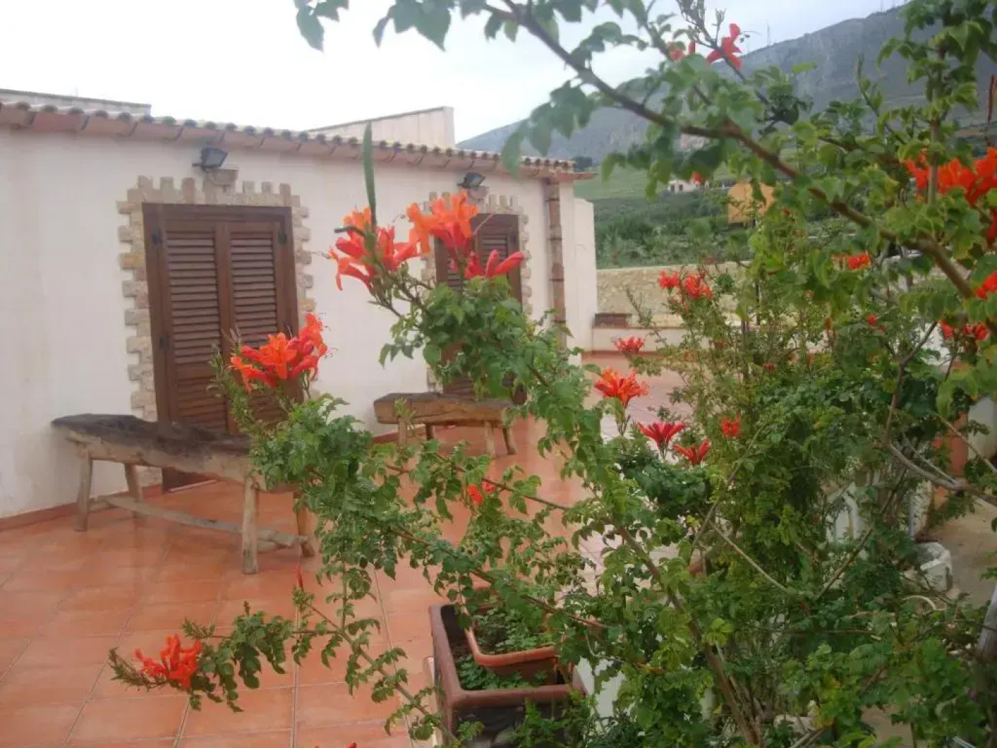 Villa Delle Palme Delfina