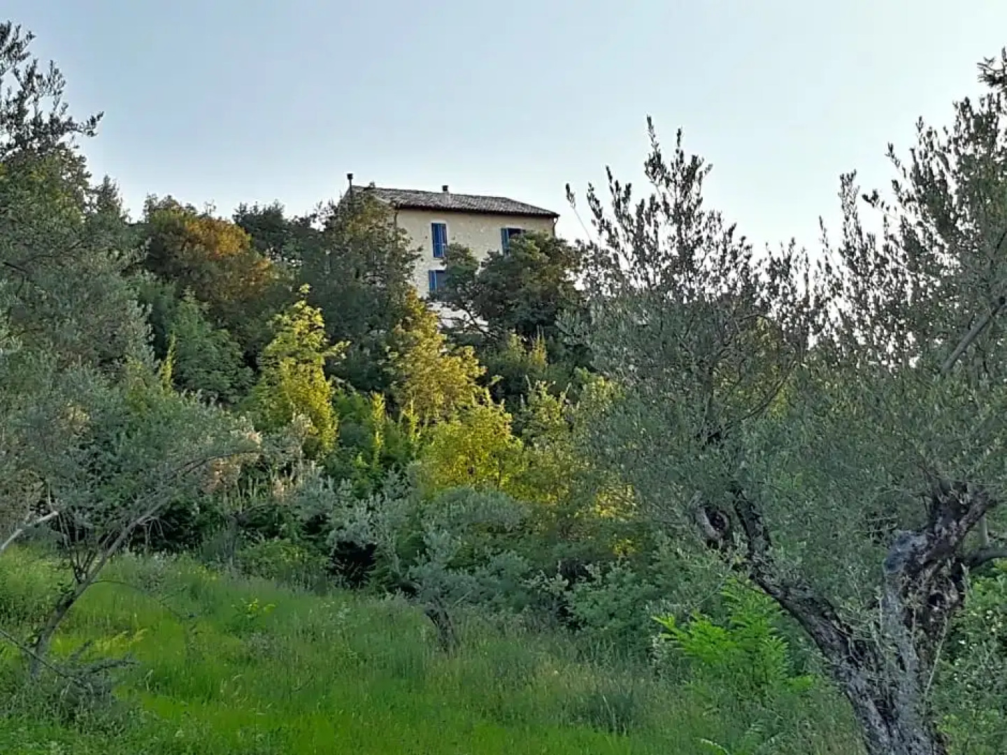 La casa dalle finestre blu