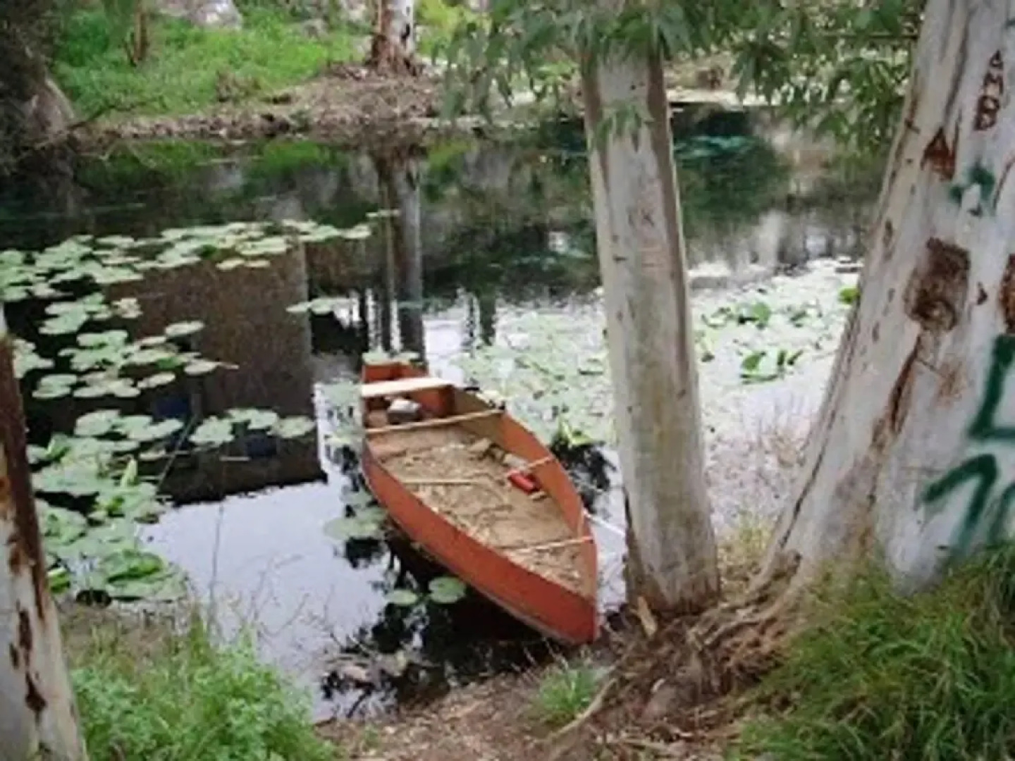 Experience and relaxing near to Ancient Messene