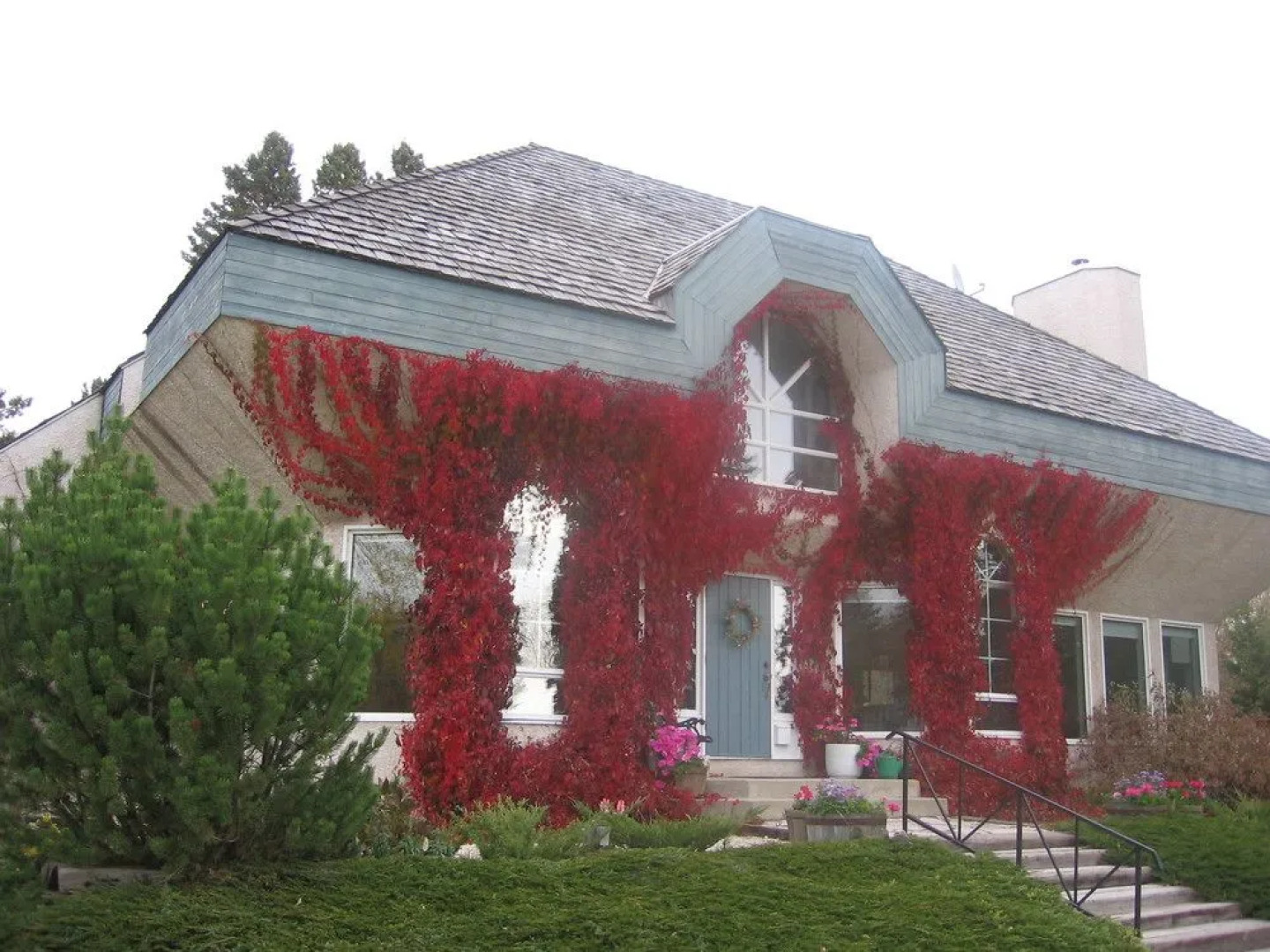 Evergreen Gate Bed and Breakfast