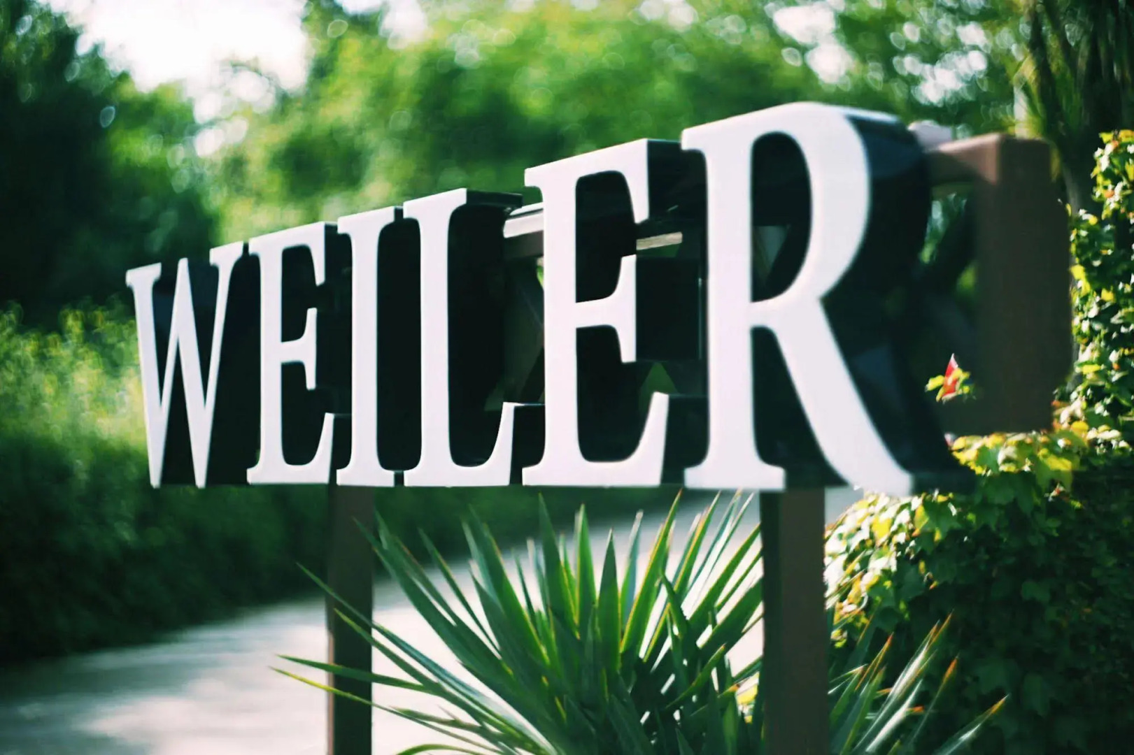 Отель Вэйлер