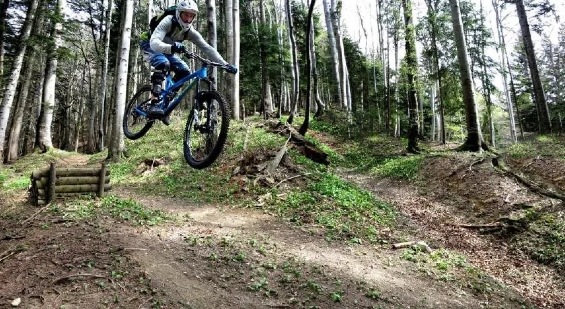 Hotel Bor & Grad Hrib