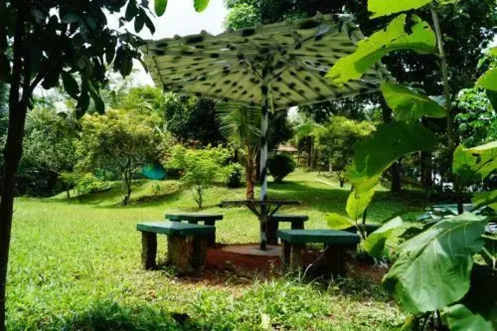 Contour Jungle Resort