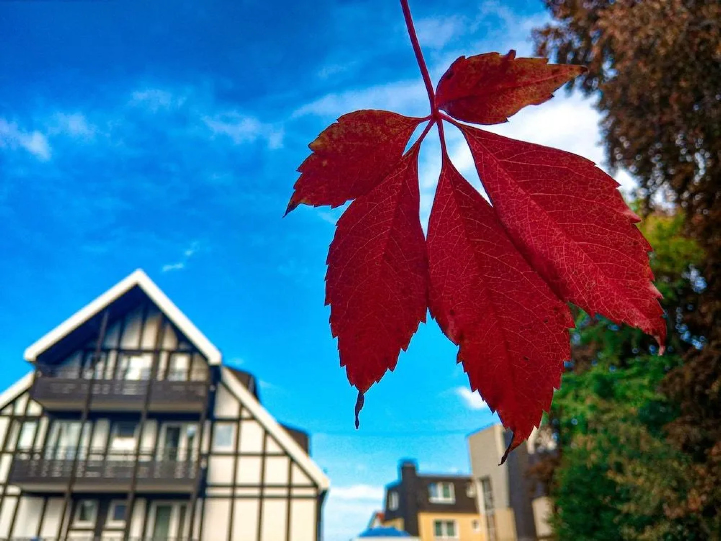 Romantik Hotel Braunschweiger Hof