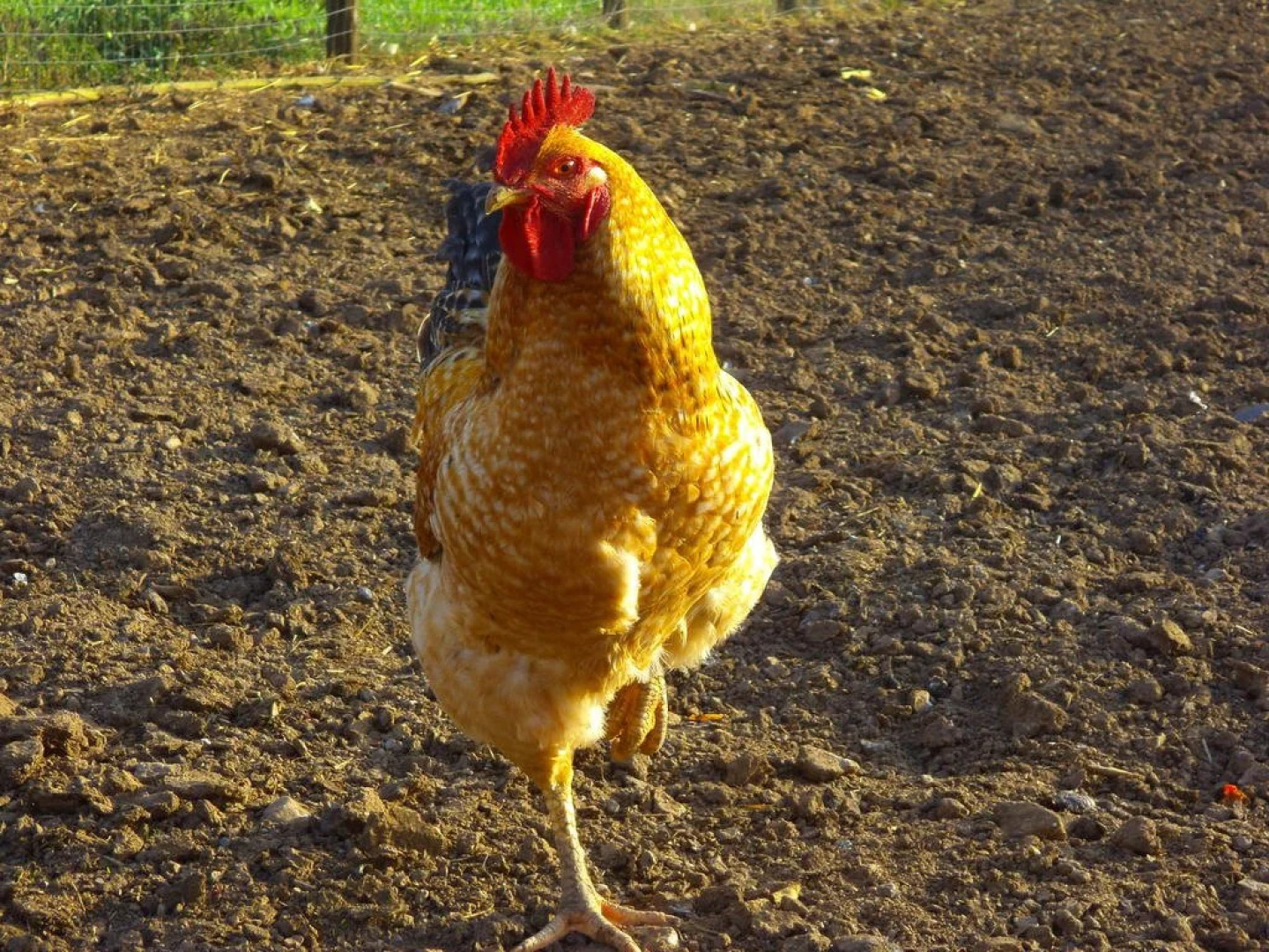 Agriturismo Casa Della Nonna