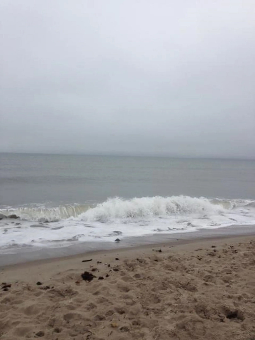 Shorelands Guest Resort and Cottages