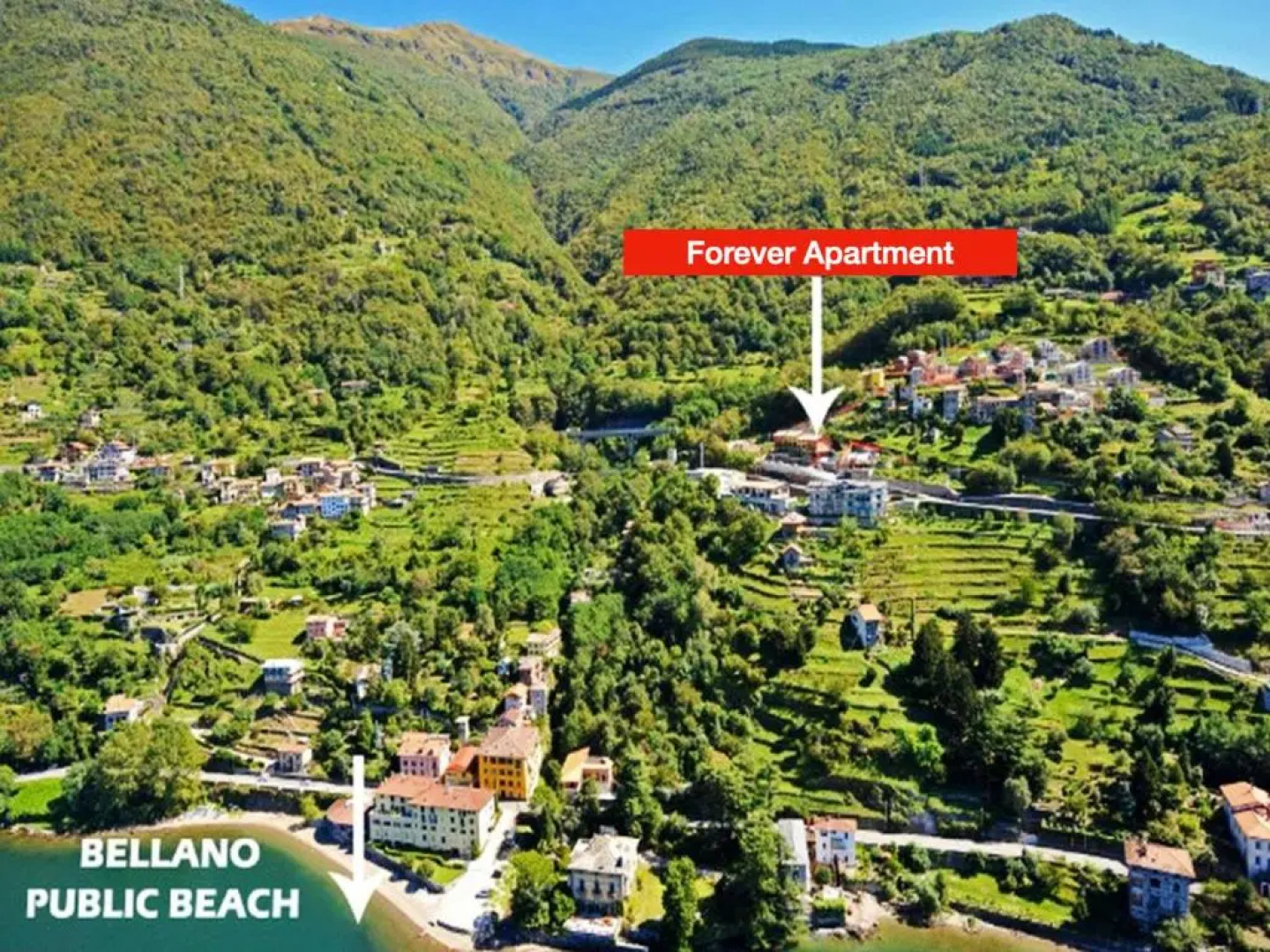 FOREVER by Design Studio