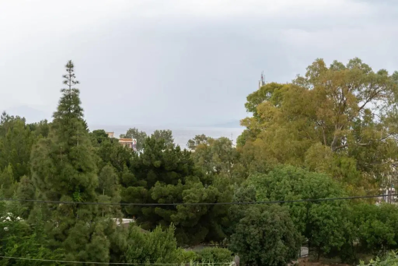 Rose's House (Near Airport)