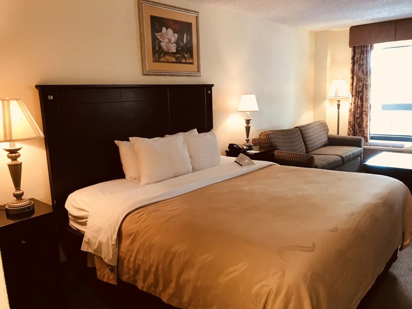 Quality Inn & Suites Conference Center Statesboro Historic District