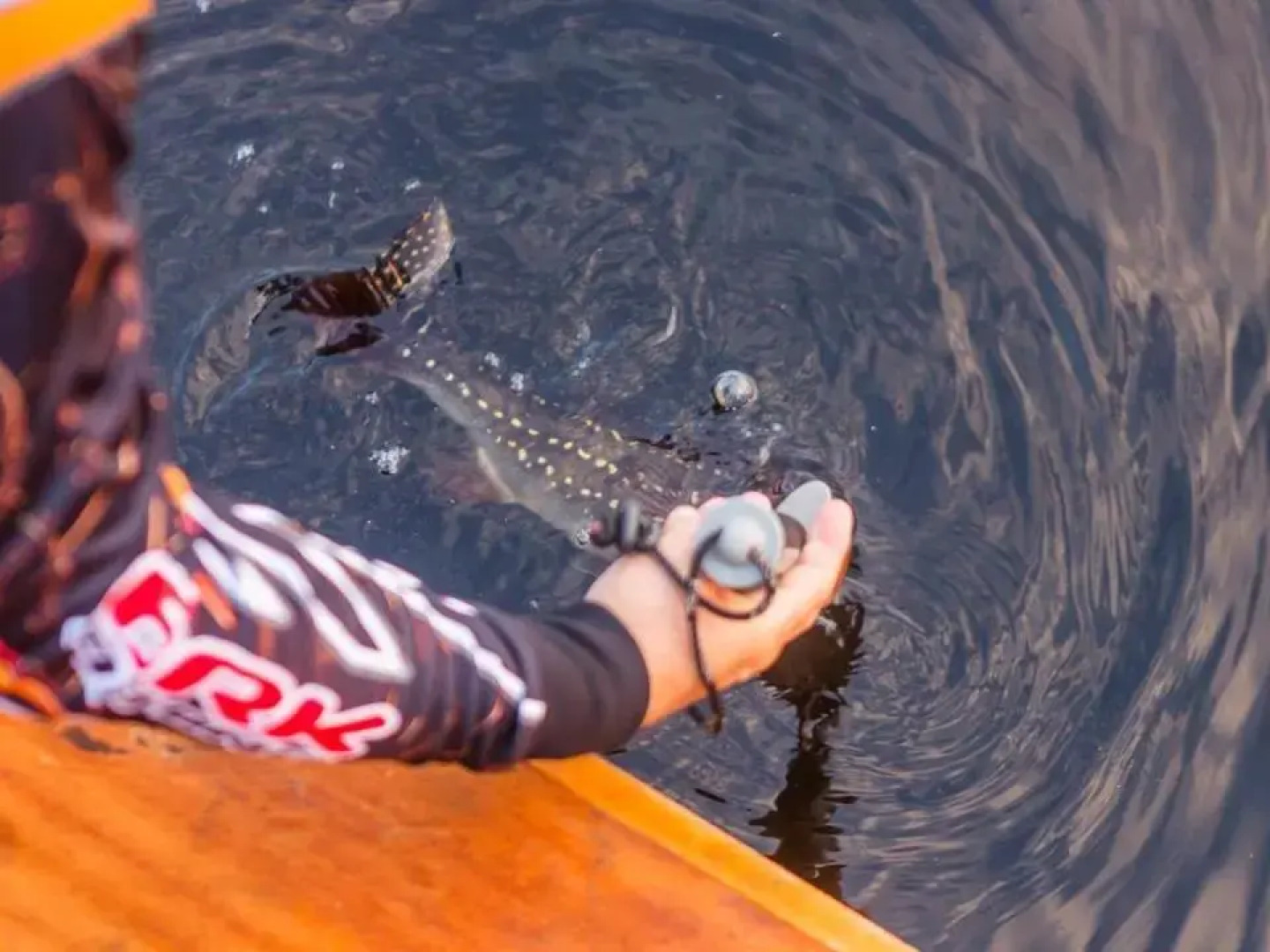 Tucunare Sport Fishing