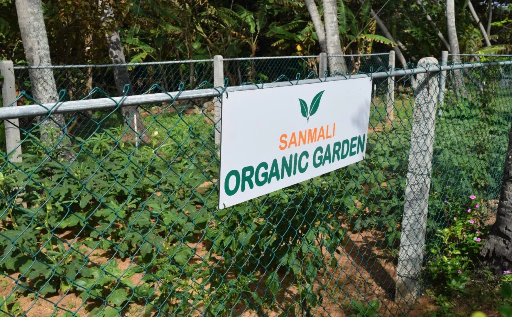 Отель Sanmali Beach