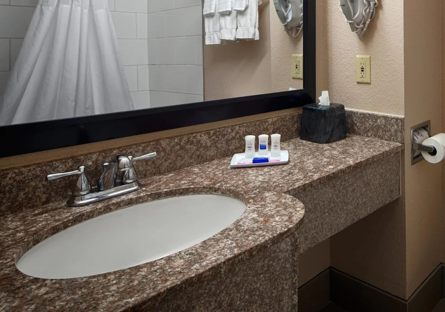 Best Western Plus Kalamazoo Suites