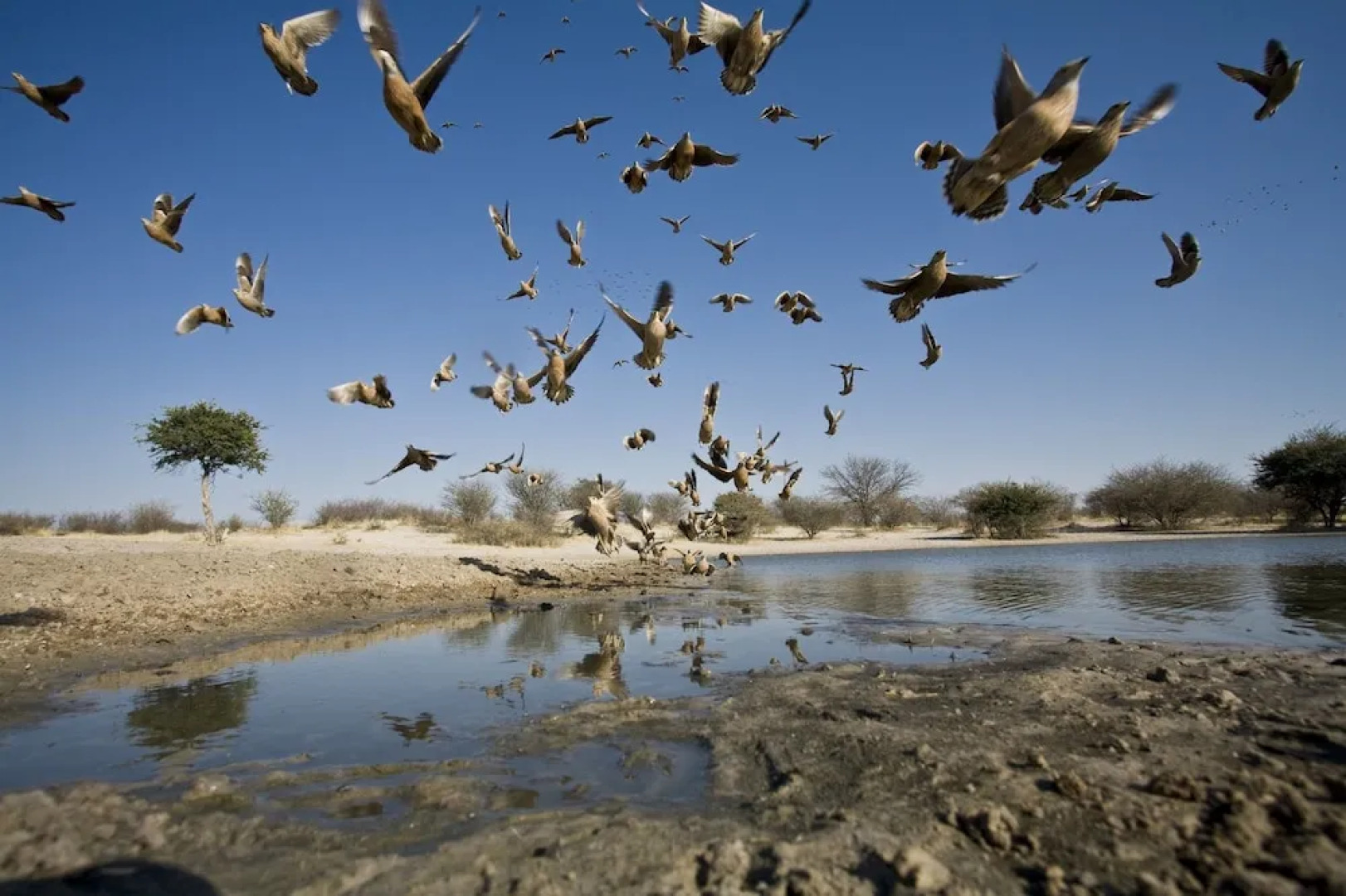 Grassland Bushman Lodge