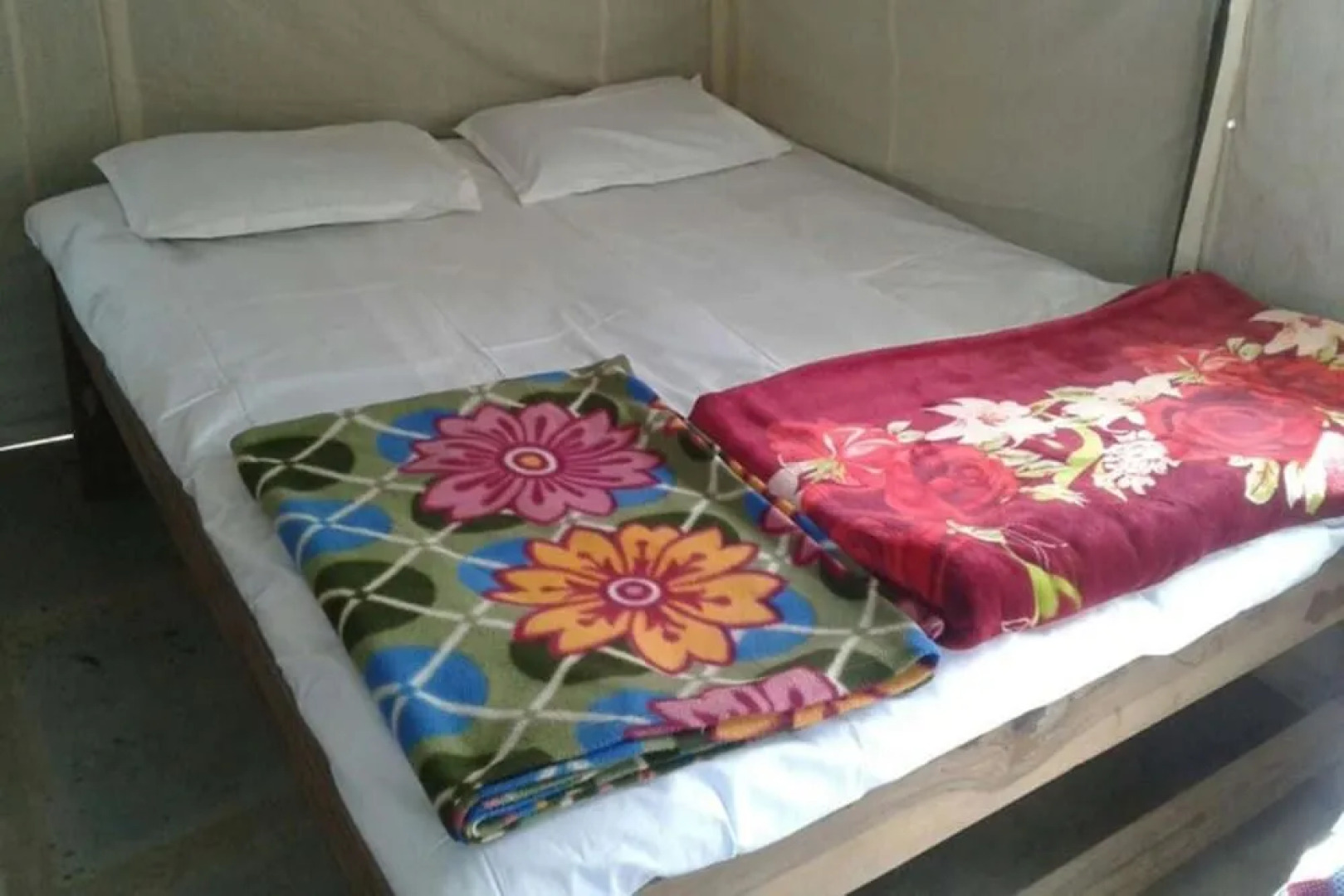 Dandeli Mysa RC - Hostel