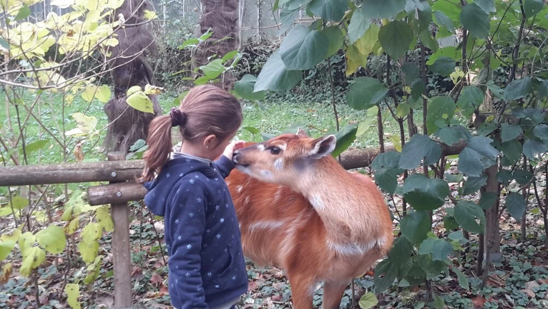 Les Hauts de Hurlevent Cottages