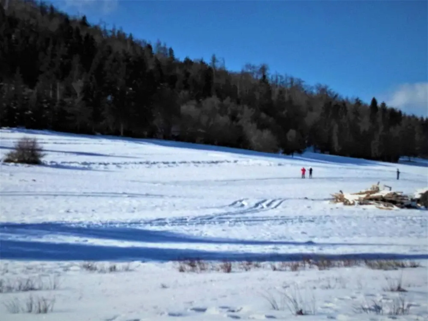 Prenocisca Miklavcic