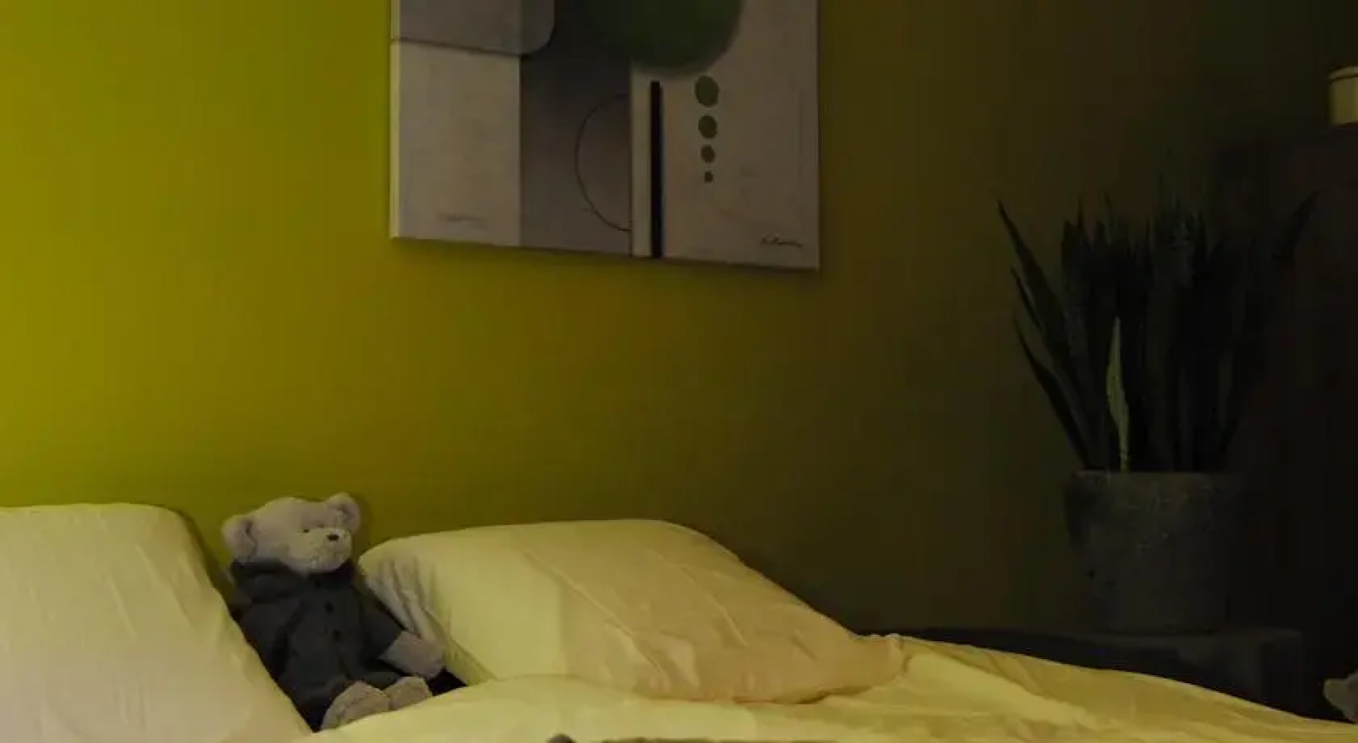 Apartment The Village