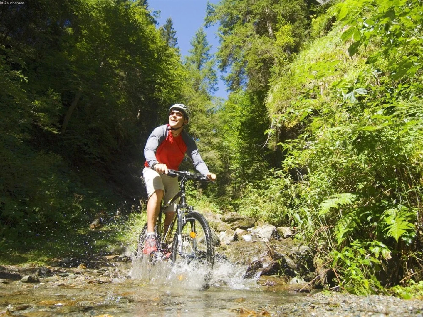 Stunning Apartment in Forstau Salzburg Near Ski Area