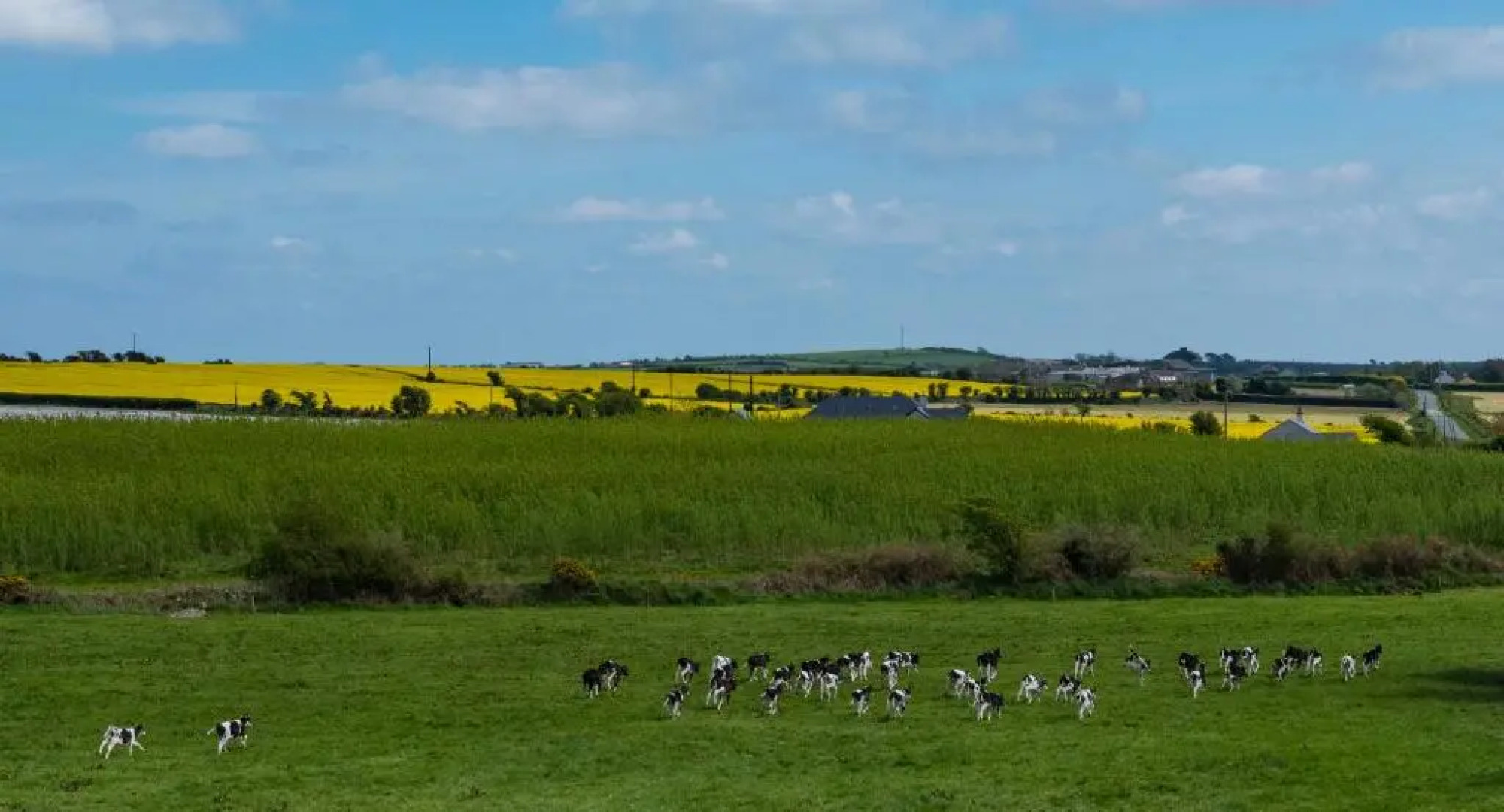 The Knock Guest house