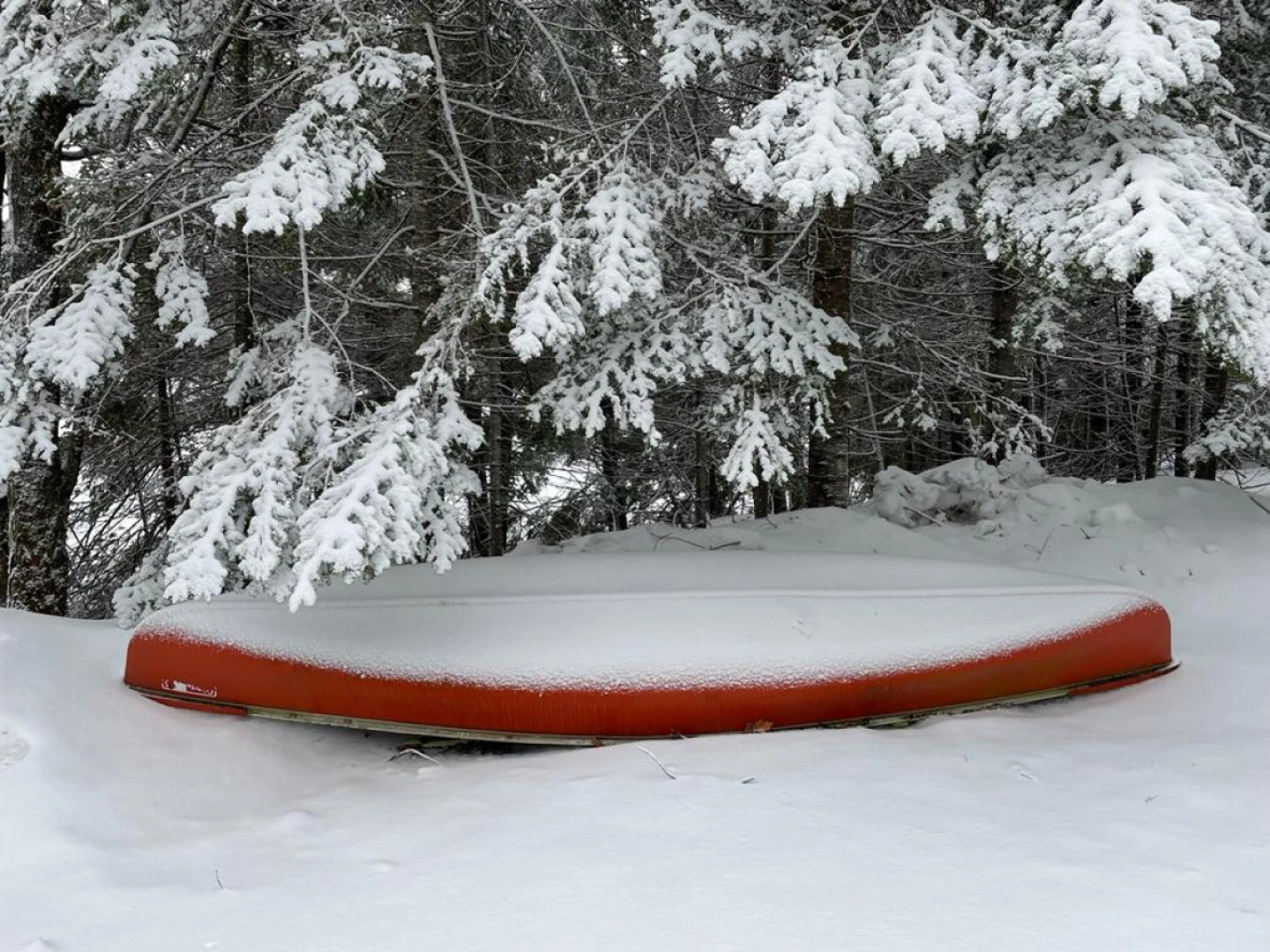 Bear Essentials Lakefront Hideaway