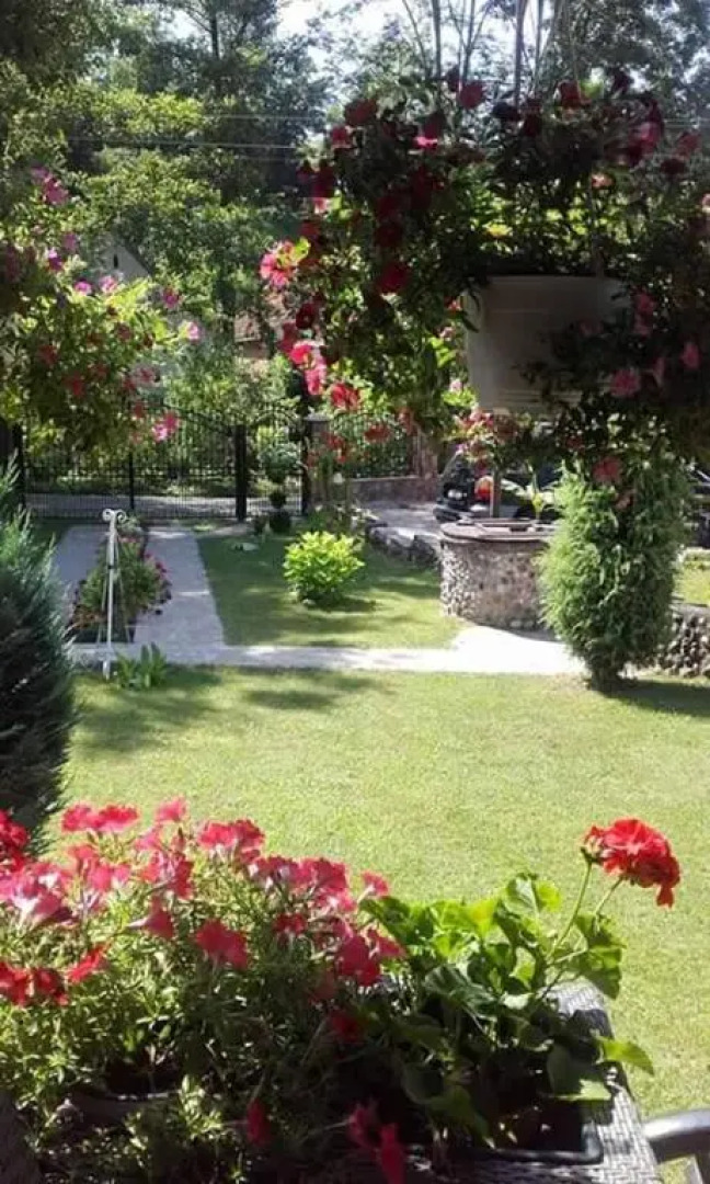 Casa De Vacanta Silvia Varmaga