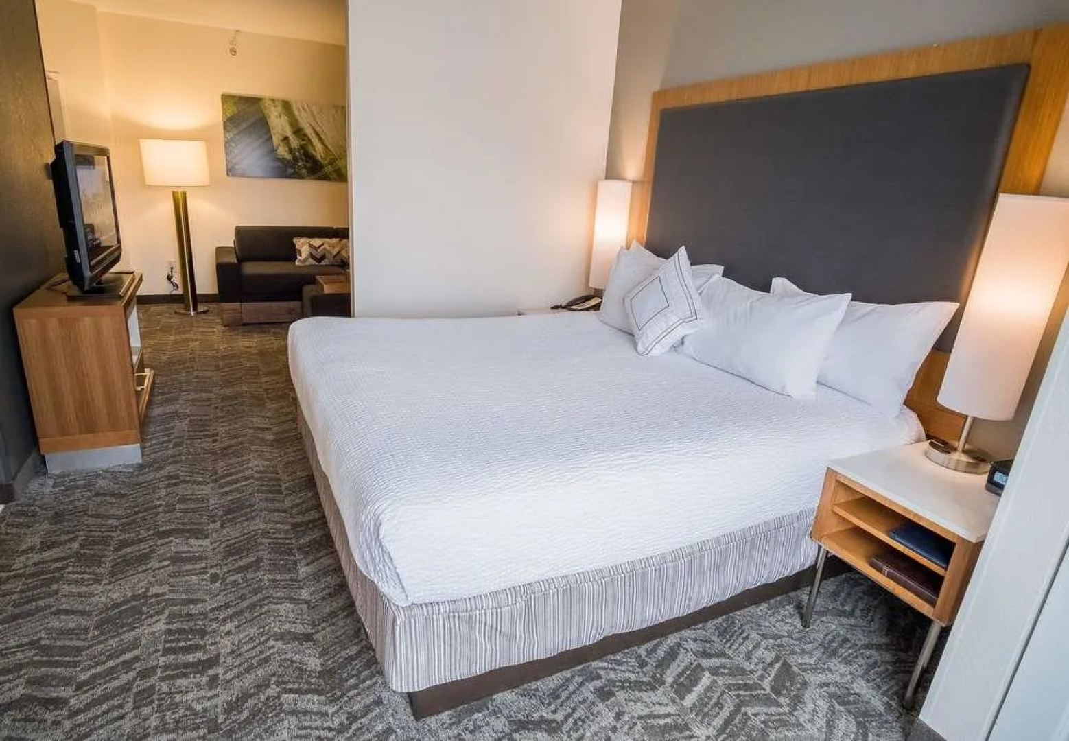 SpringHill Suites Winston-Salem Hanes Mall