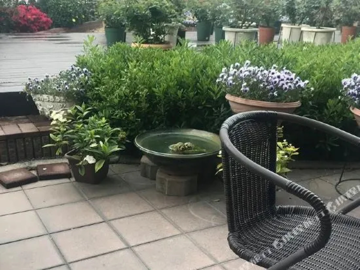 Business Ryokan Umezaki