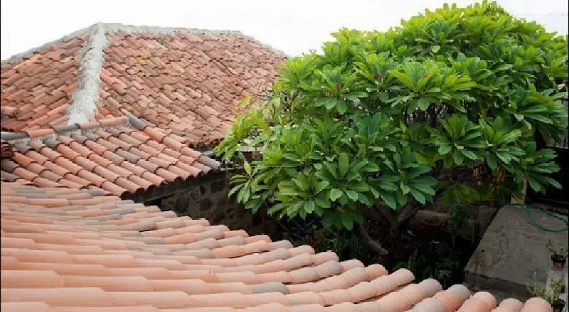 Casa Turismo Rural Aurelia