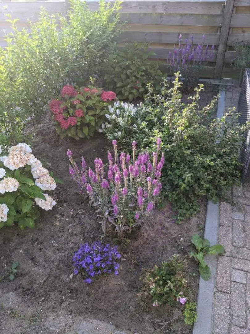 Logies21 Texel