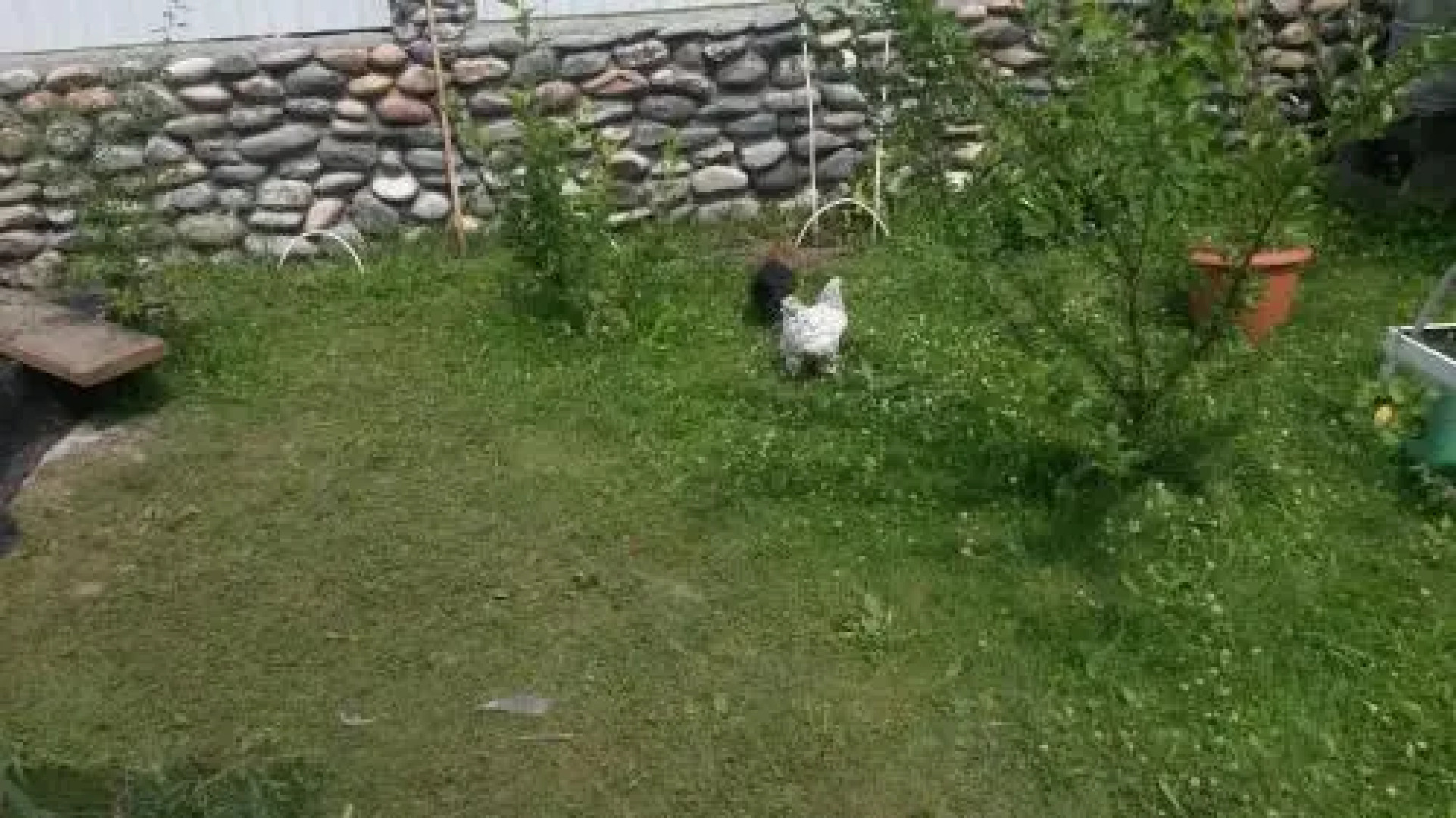 Mini Hotel 3 Atmosfery