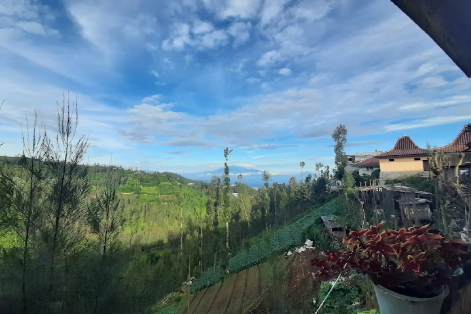 Bromo Indah Lestari Homestay RedPartner